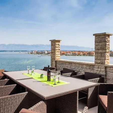 Margarita * زادار